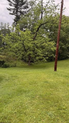 2507 Kings Run Road Beverly WV 26253