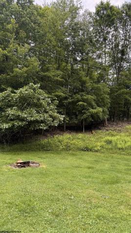 2507 Kings Run Road Beverly WV 26253