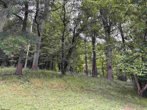717 Maple Avenue Philippi WV 26416