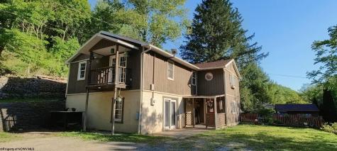 72 Newcastle Lane Farmington WV 26571