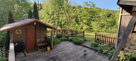72 Newcastle Lane Farmington WV 26571