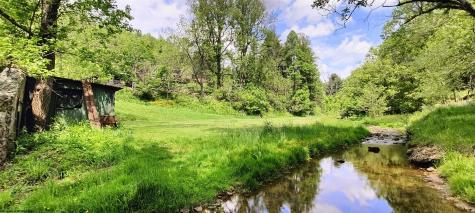 72 Newcastle Lane Farmington WV 26571