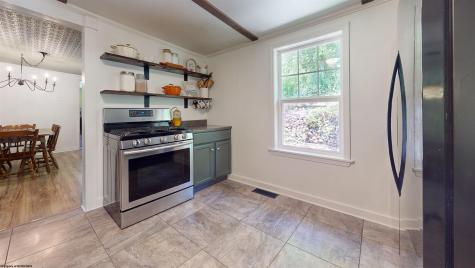 72 Newcastle Lane Farmington WV 26571