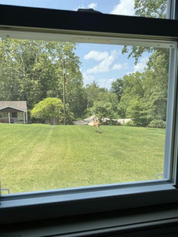 800 Country Club Road Fairmont WV 26554