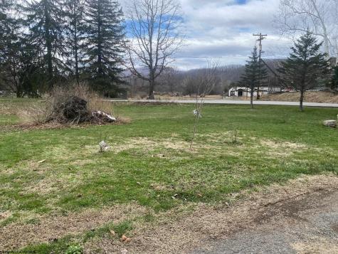 111 Ervin Lane Elkins WV 26241