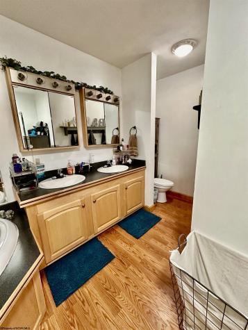 588 Pinch Gut Hollow Road Fairmont WV 26554
