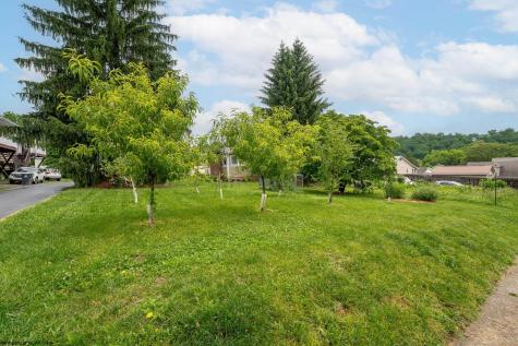 240 Dewey Street Morgantown WV 26501