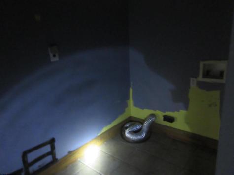 0 Yellow Bird Street Parsons WV 26287