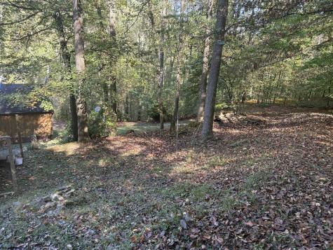 872 Cove Lick Road Weston WV 26452