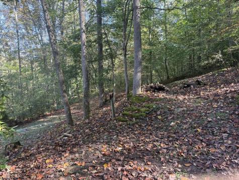 872 Cove Lick Road Weston WV 26452