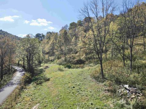 7935 Servia Elmira Road Duck WV 25063