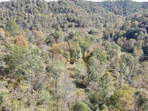 7935 Servia Elmira Road Duck WV 25063