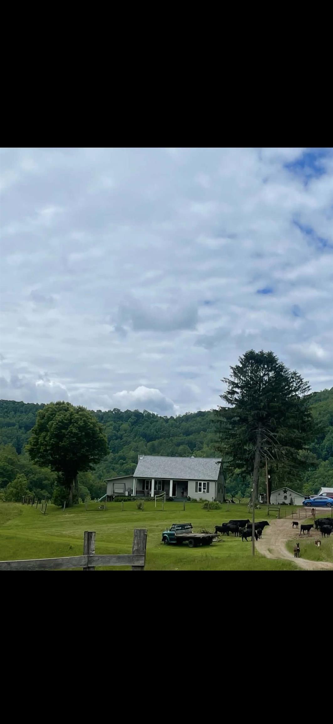 770 Bergoo Road Webster Springs WV 26288-9998