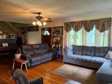 770 Bergoo Road Webster Springs WV 26288-9998