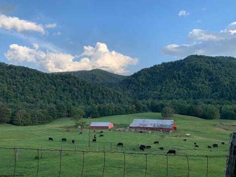 770 Bergoo Road Webster Springs WV 26288-9998