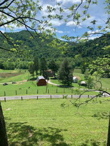 770 Bergoo Road Webster Springs WV 26288-9998