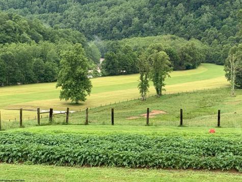 770 Bergoo Road Webster Springs WV 26288-9998