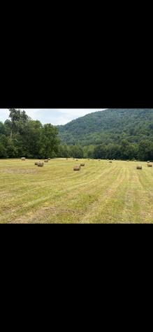 770 Bergoo Road Webster Springs WV 26288-9998