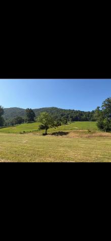 770 Bergoo Road Webster Springs WV 26288-9998