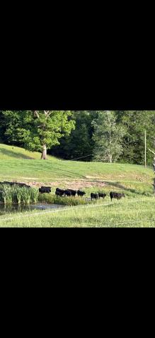 770 Bergoo Road Webster Springs WV 26288-9998