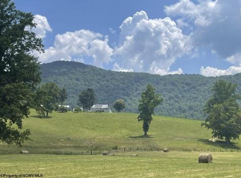 770 Bergoo Road Webster Springs WV 26288-9998