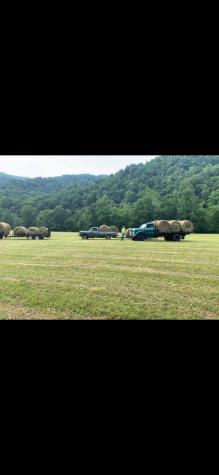 770 Bergoo Road Webster Springs WV 26288-9998