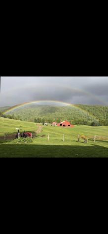 770 Bergoo Road Webster Springs WV 26288-9998