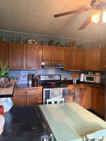 770 Bergoo Road Webster Springs WV 26288-9998