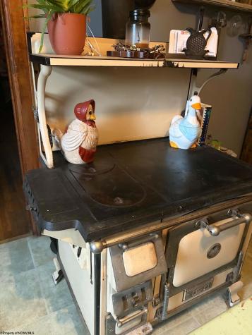 770 Bergoo Road Webster Springs WV 26288-9998