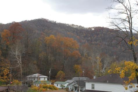 36 Fryer Alley Webster Springs WV 26288