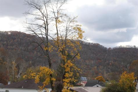 36 Fryer Alley Webster Springs WV 26288