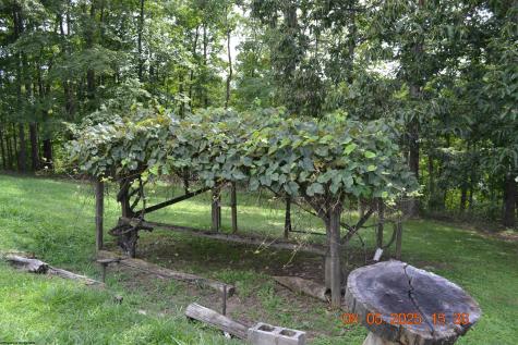 577 Curry Ridge Road Napier WV 26631