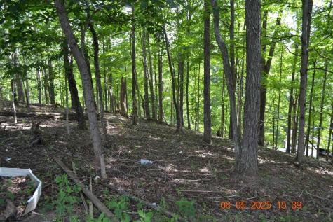 577 Curry Ridge Road Napier WV 26631