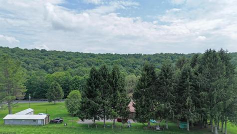 27645 George Washington Highway Aurora WV 26705