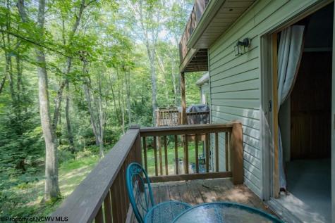 174 Sumac Lane Terra Alta WV 26764