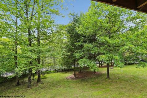 352 Ridge Road Davis WV 26260