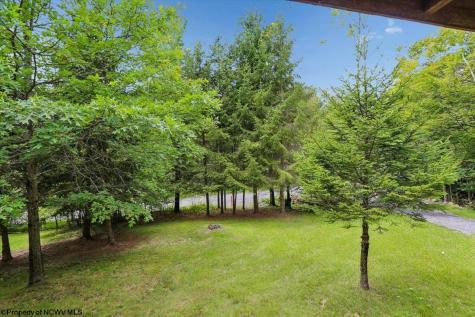 352 Ridge Road Davis WV 26260