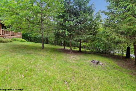 352 Ridge Road Davis WV 26260
