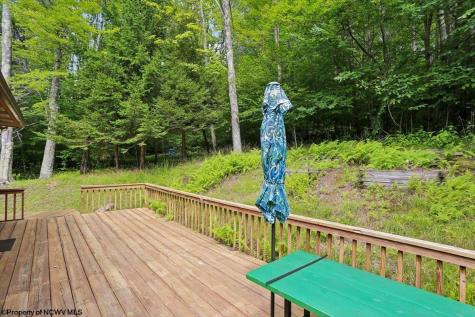 352 Ridge Road Davis WV 26260