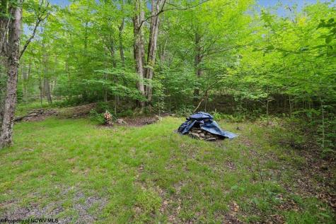 352 Ridge Road Davis WV 26260