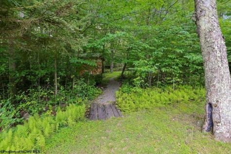 352 Ridge Road Davis WV 26260