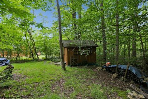 352 Ridge Road Davis WV 26260