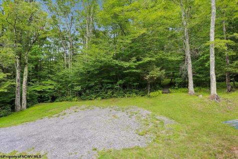 352 Ridge Road Davis WV 26260