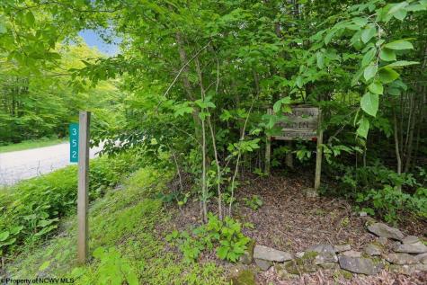 352 Ridge Road Davis WV 26260