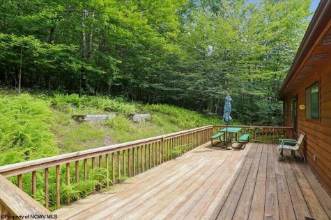 352 Ridge Road Davis WV 26260
