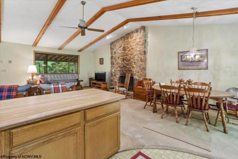 352 Ridge Road Davis WV 26260