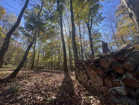 268 Wild Flower Way Albright WV 26519