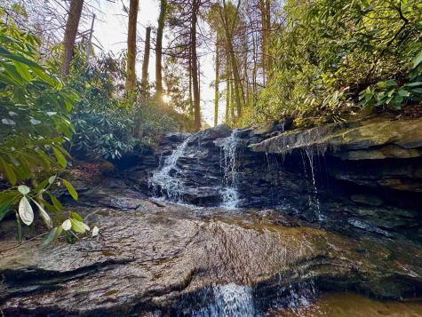 268 Wild Flower Way Albright WV 26519