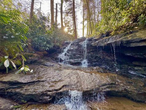 268 Wild Flower Way Albright WV 26519