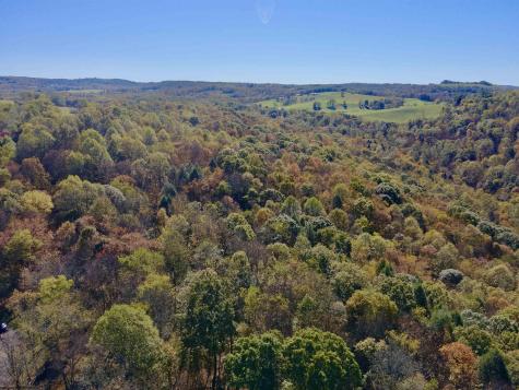 268 Wild Flower Way Albright WV 26519